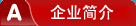 公司介绍